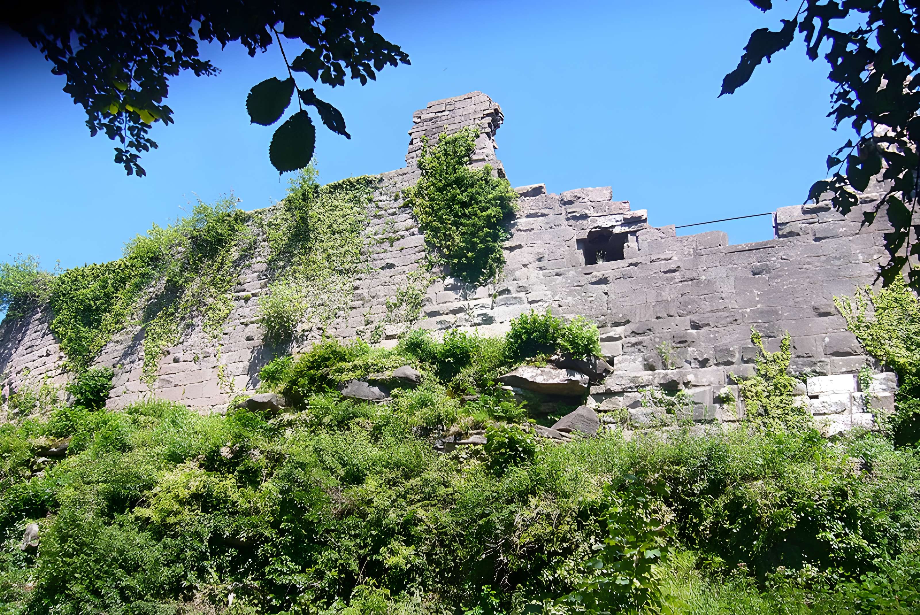 Ruines du château du Frankenbourg