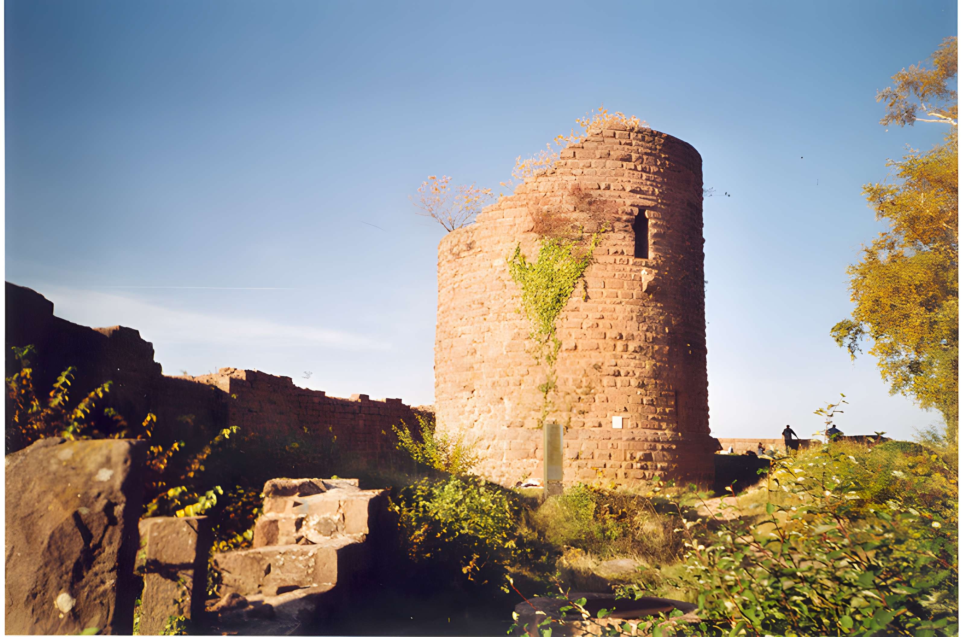 Ruines du château du Frankenbourg