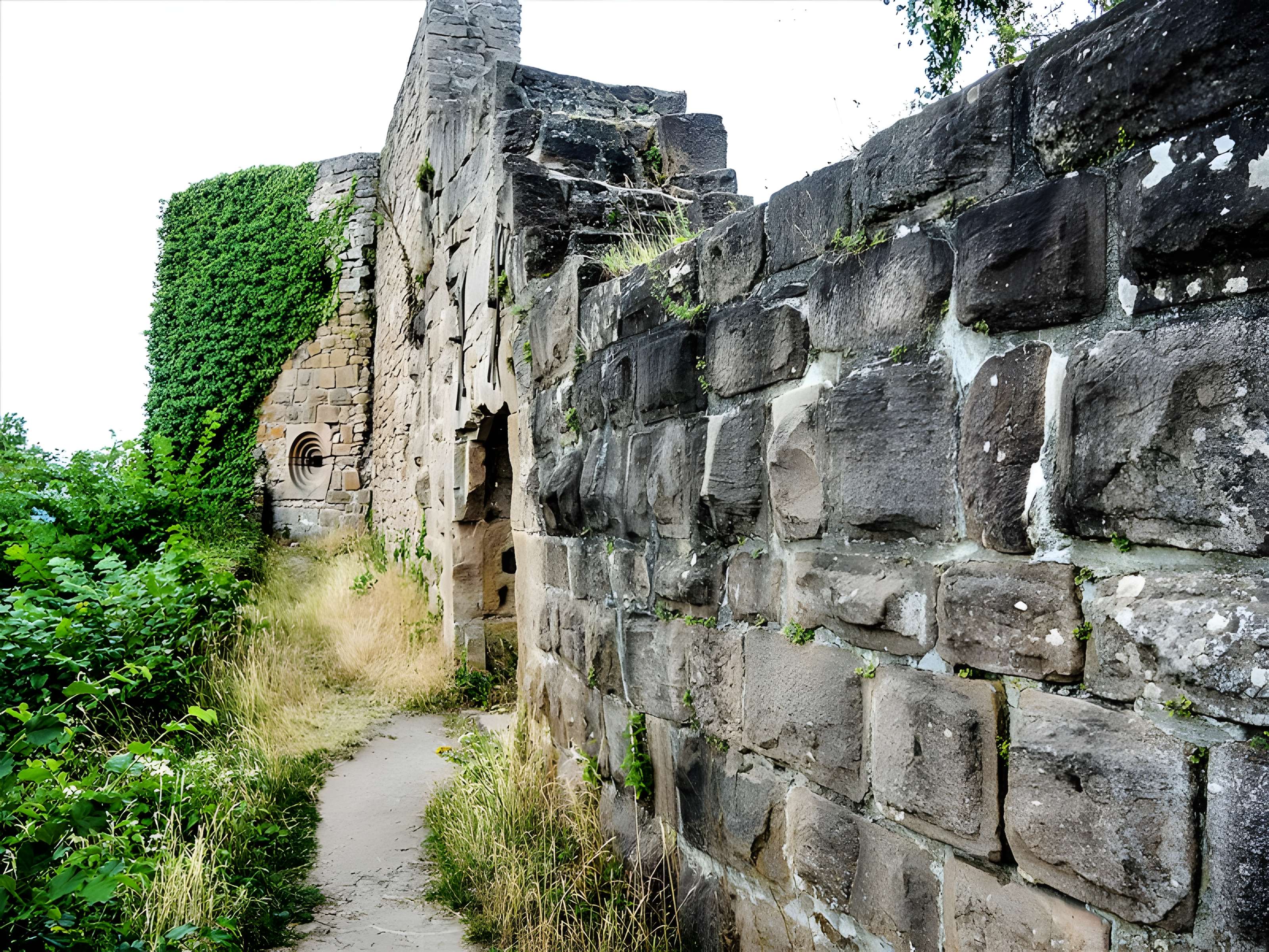 Ruines du château du Frankenbourg
