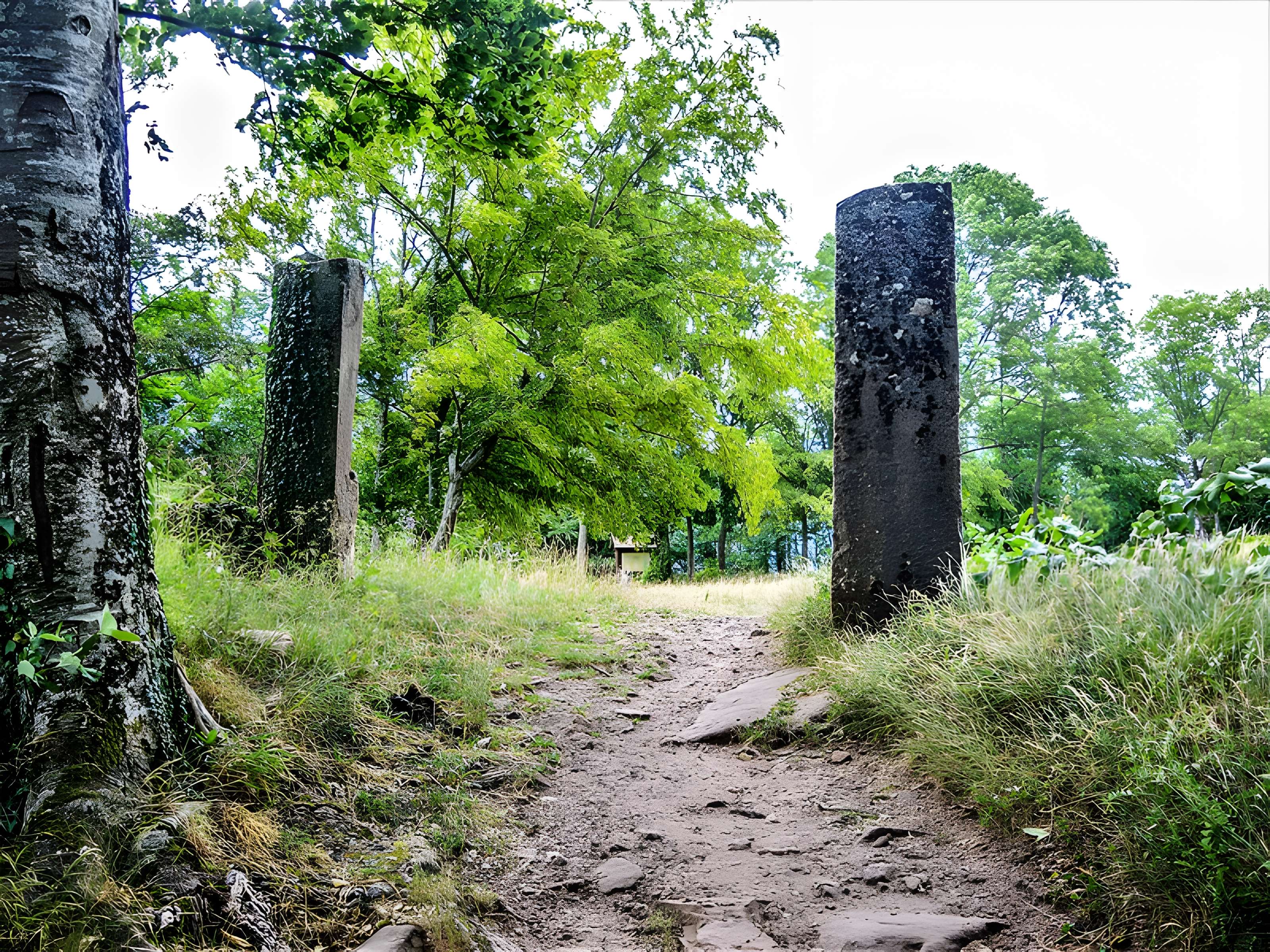 Ruines du château du Frankenbourg