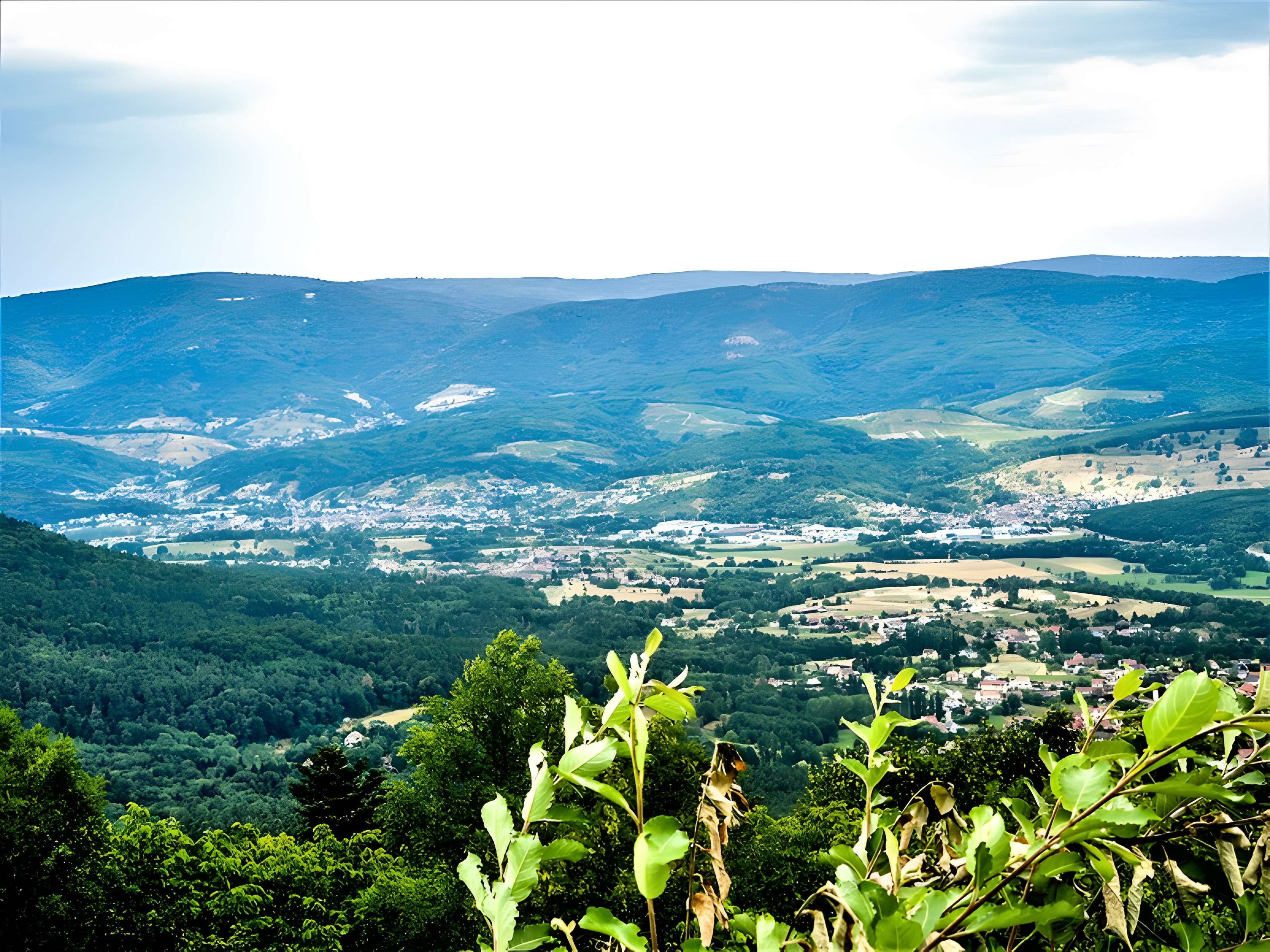 Ruines du château du Frankenbourg
