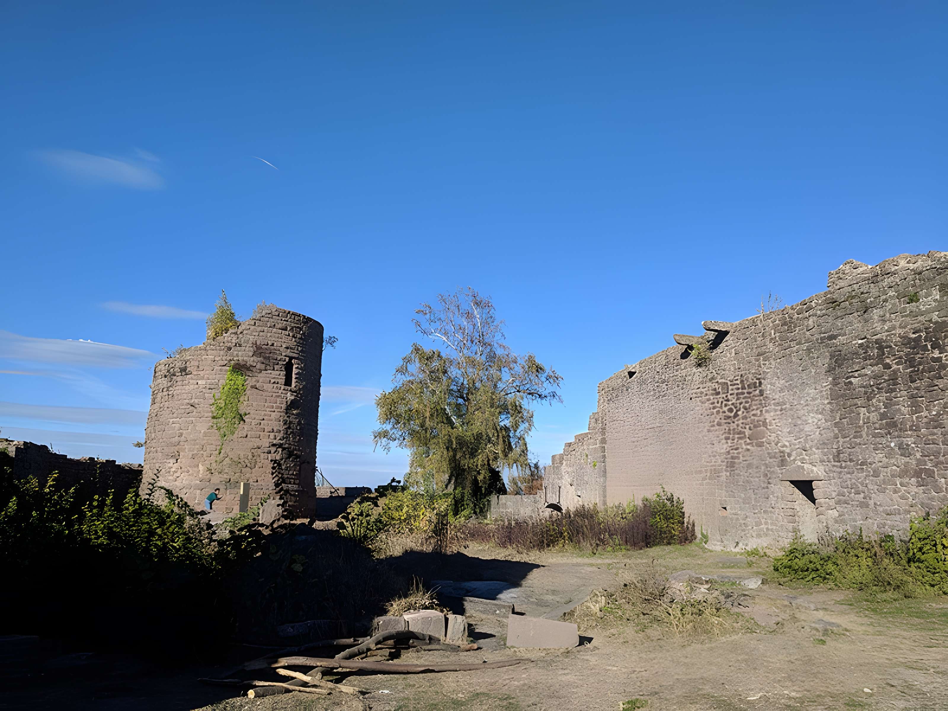 Ruines du château du Frankenbourg