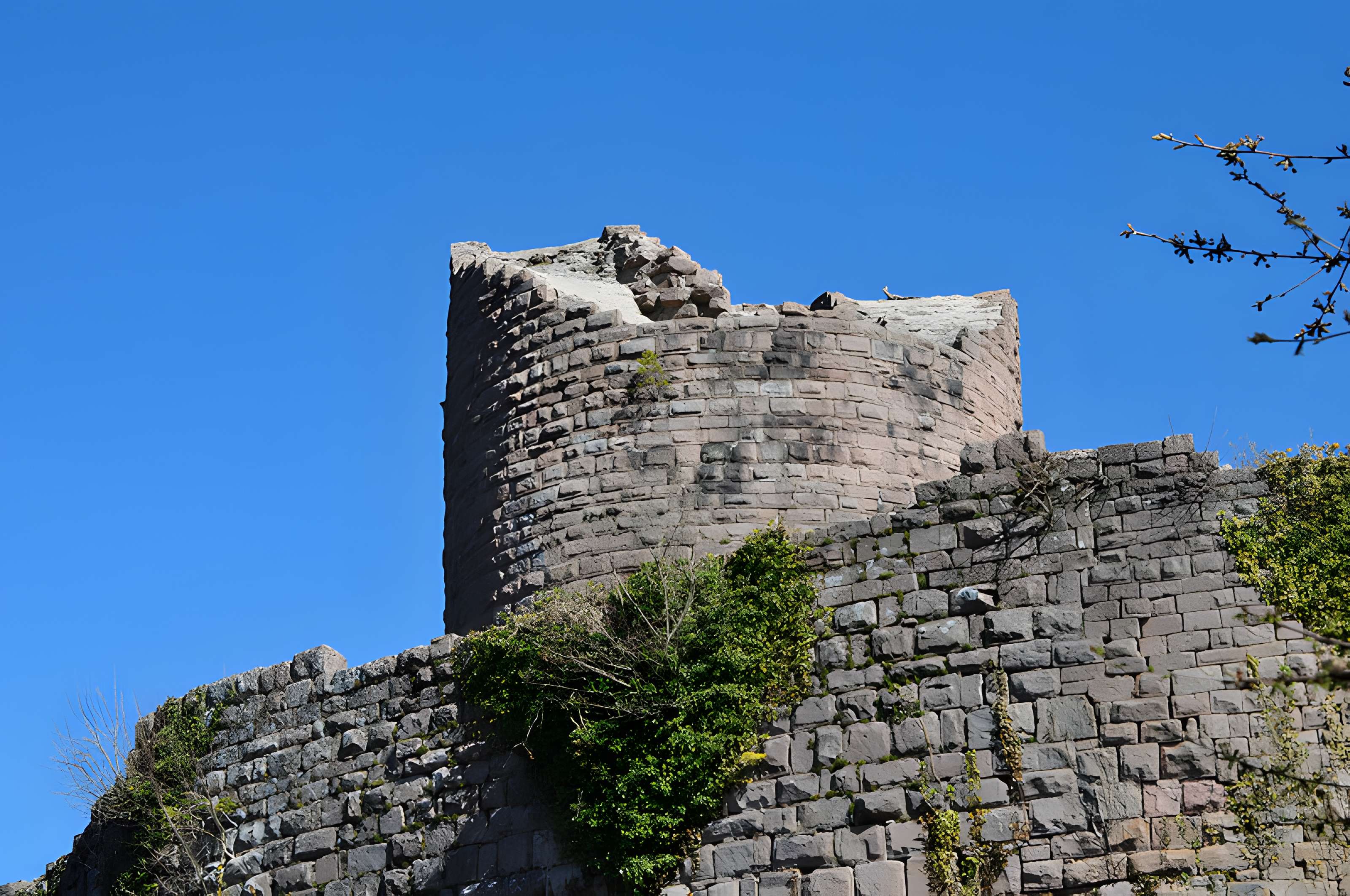 Ruines du château du Frankenbourg