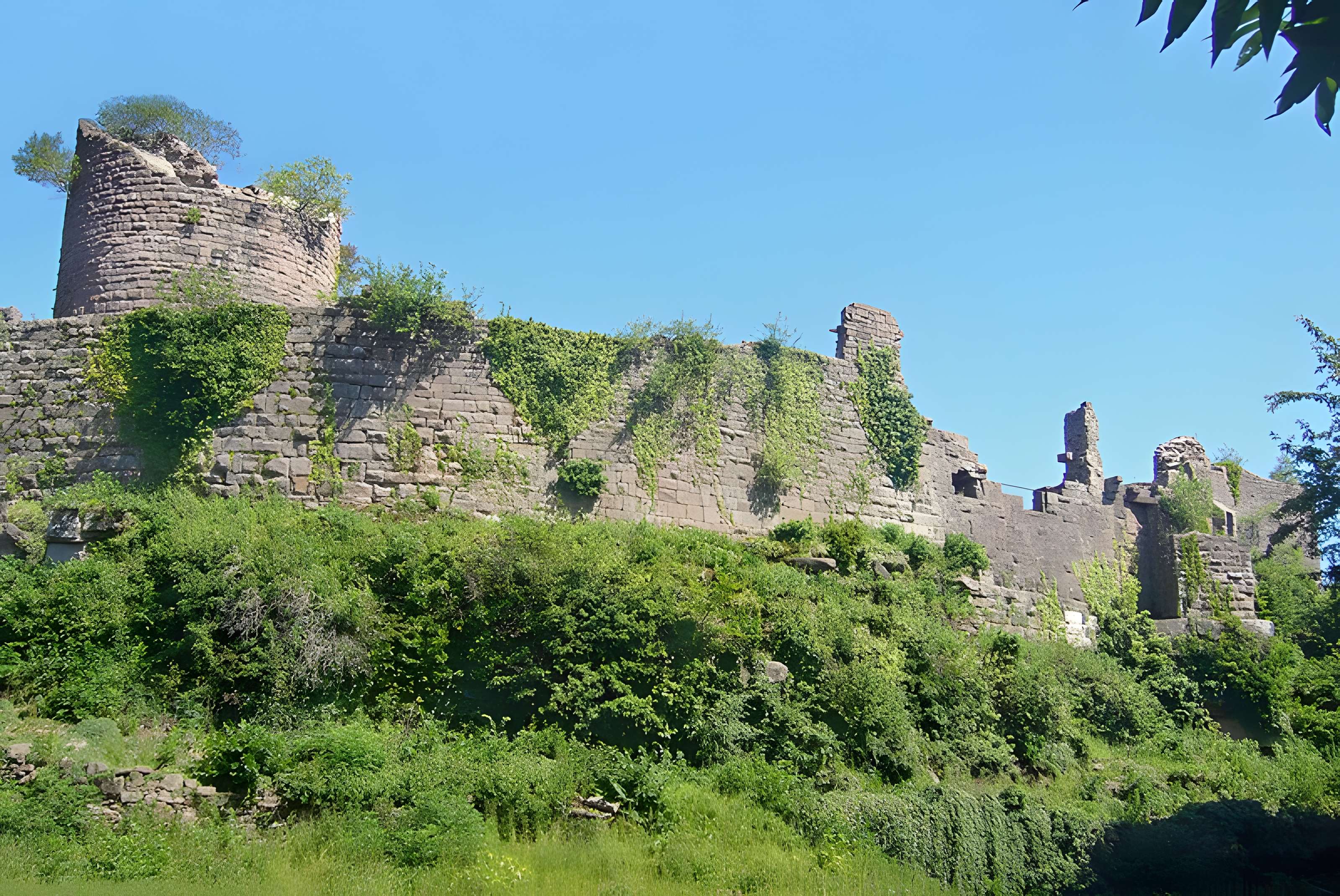 Ruines du château du Frankenbourg
