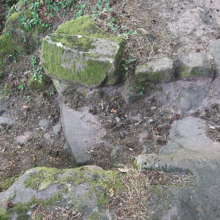 Photo de Château du Froensbourg ou Frundsberg