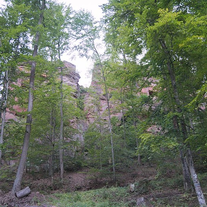 Photo de Château du Froensbourg ou Frundsberg
