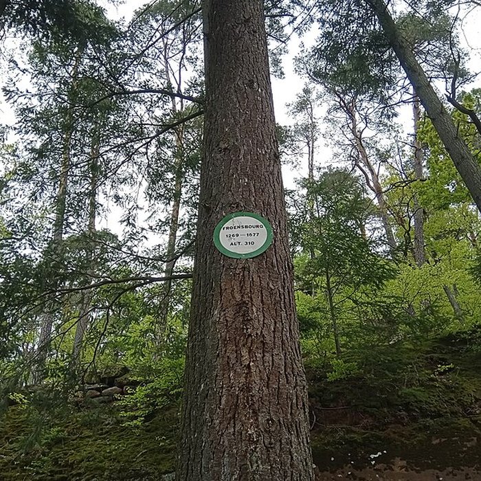 Photo de Château du Froensbourg ou Frundsberg