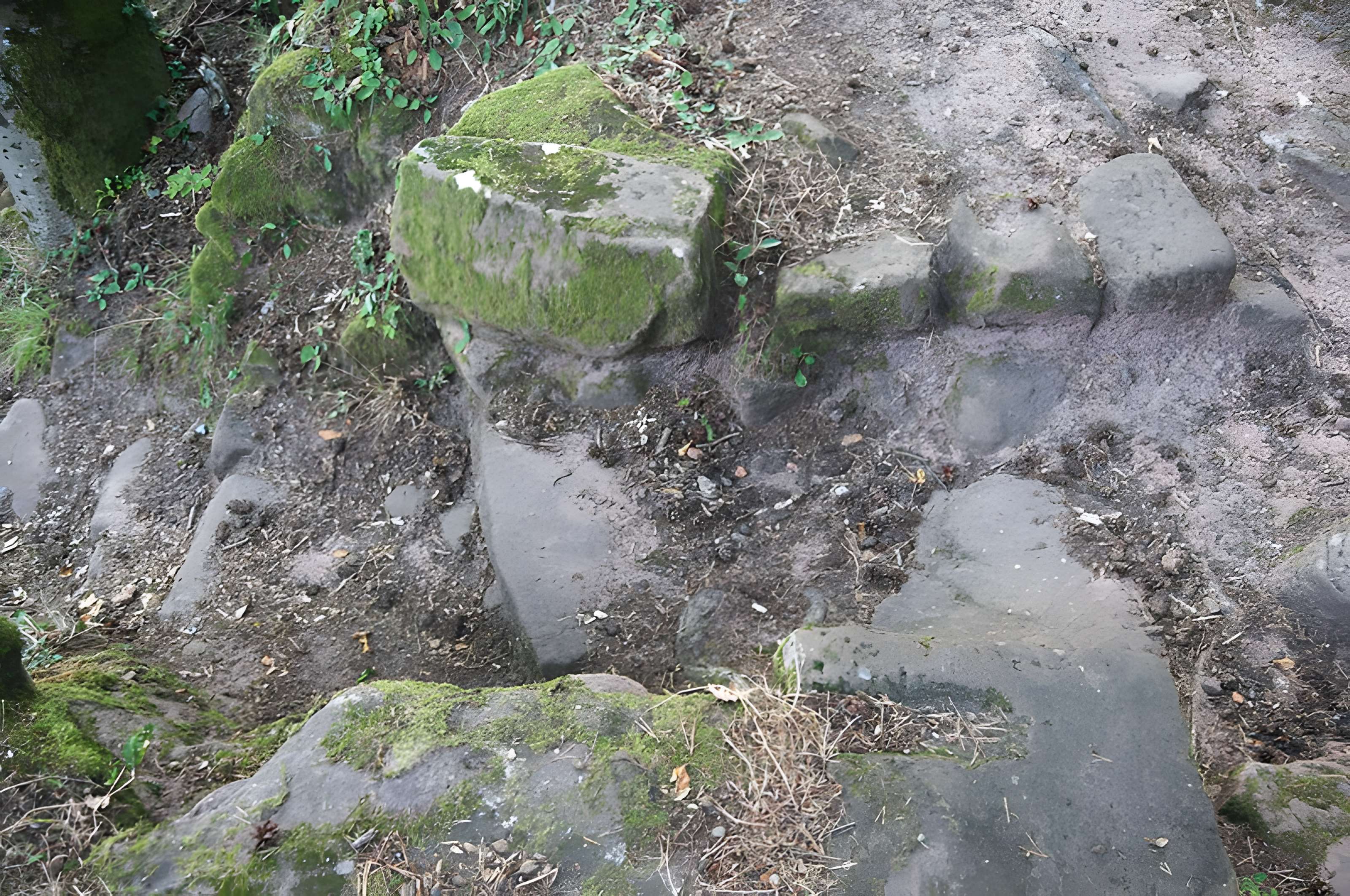 Château du Froensbourg ou Frundsberg