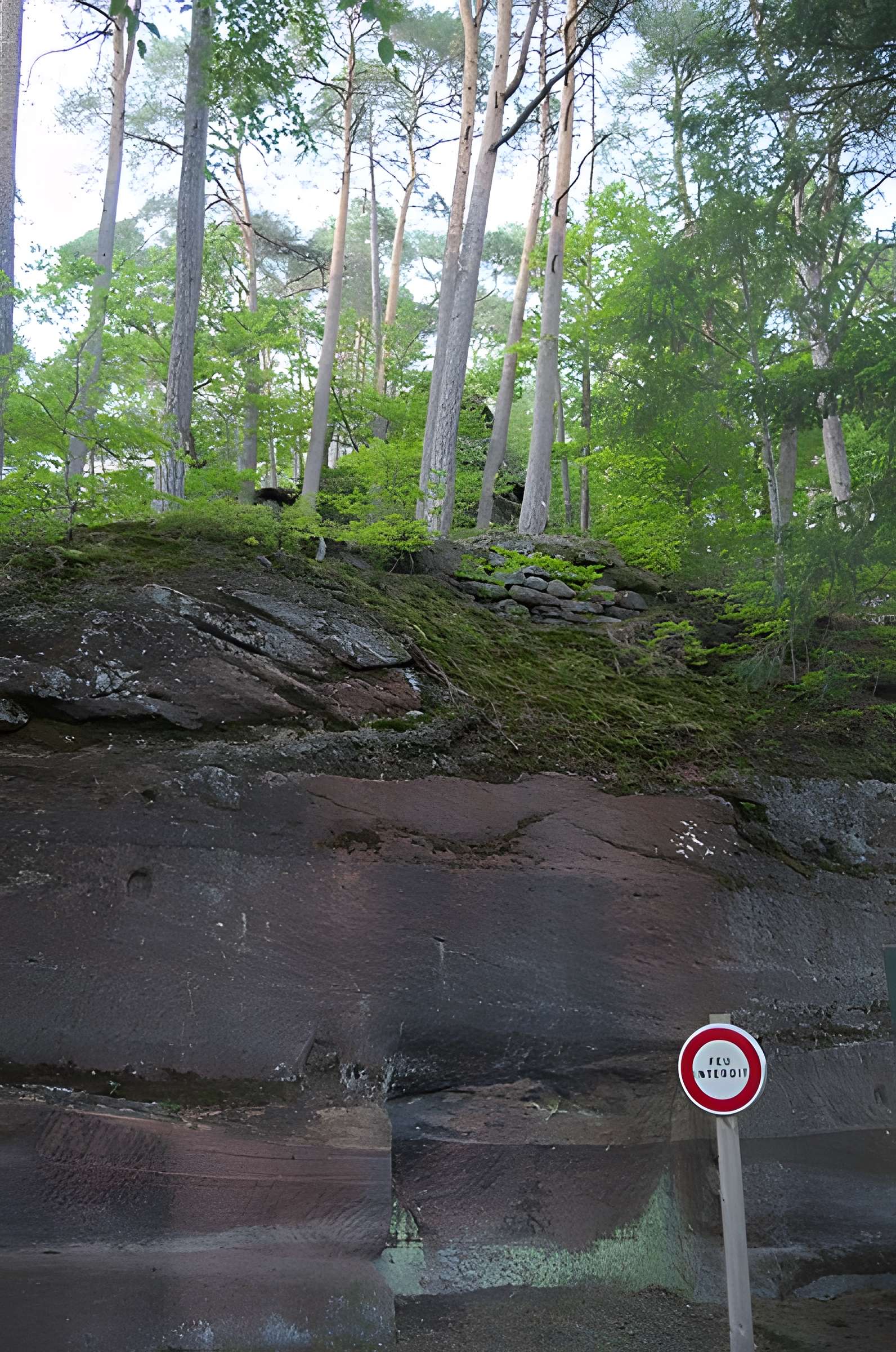 Château du Froensbourg ou Frundsberg