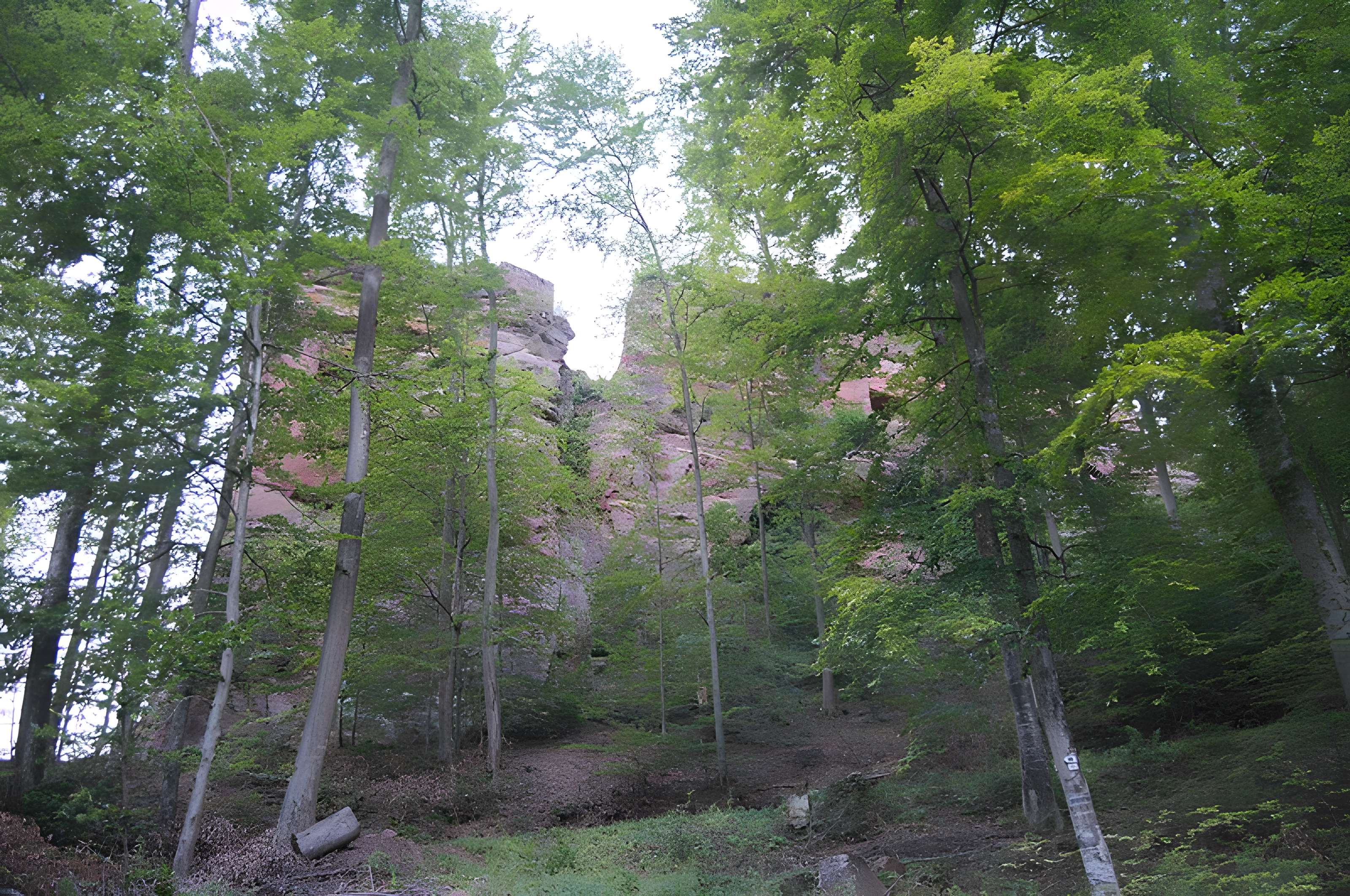 Château du Froensbourg ou Frundsberg