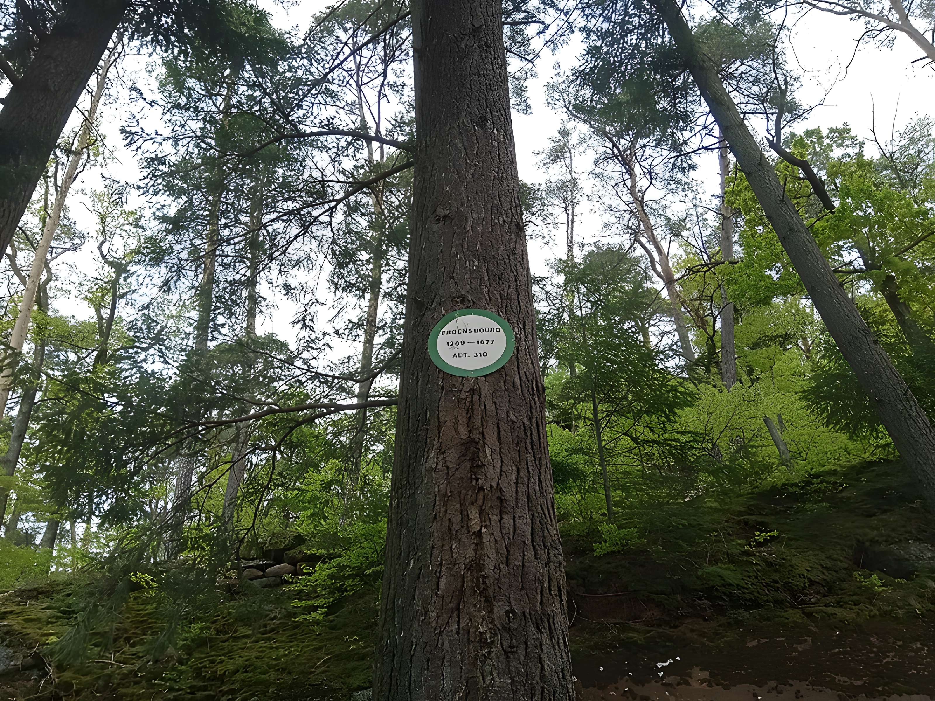 Château du Froensbourg ou Frundsberg