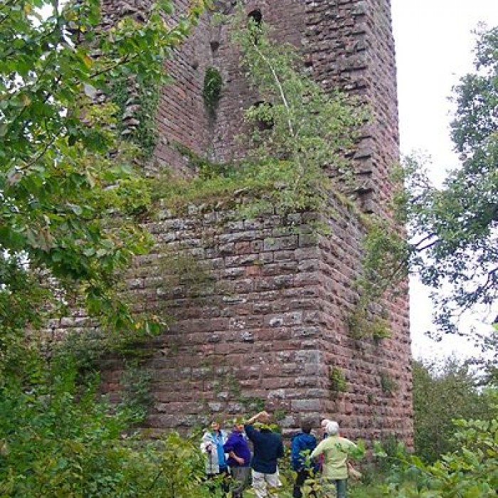 Photo de Ruines du château du Grand-Geroldseck