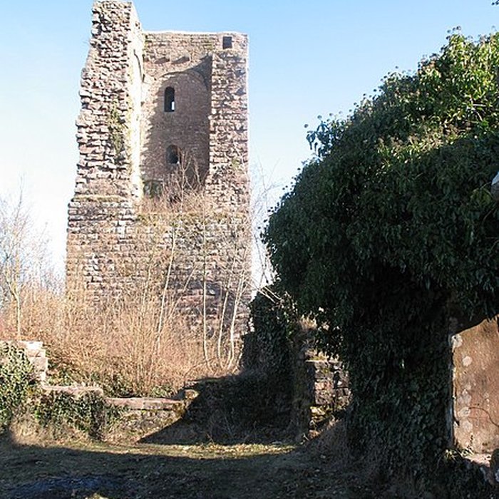 Photo de Ruines du château du Grand-Geroldseck