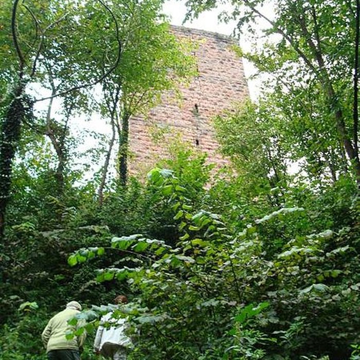 Photo de Ruines du château du Grand-Geroldseck
