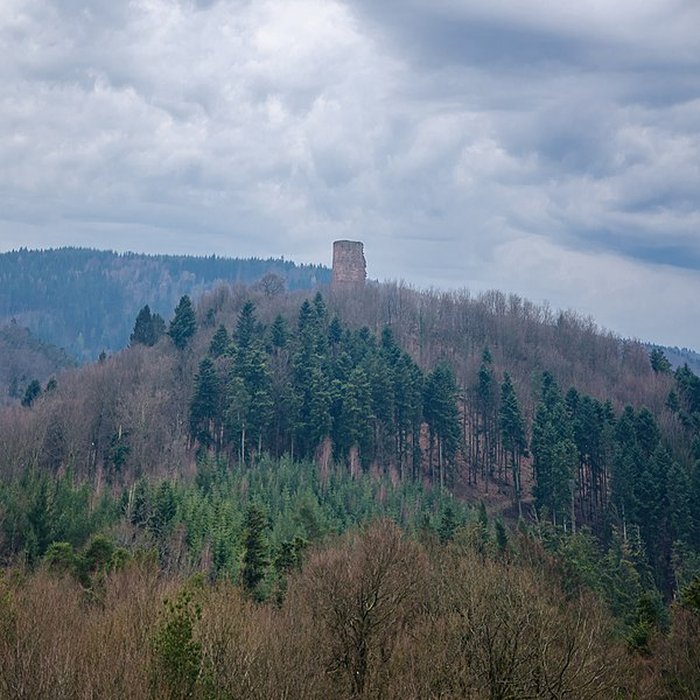 Photo de Ruines du château du Grand-Geroldseck