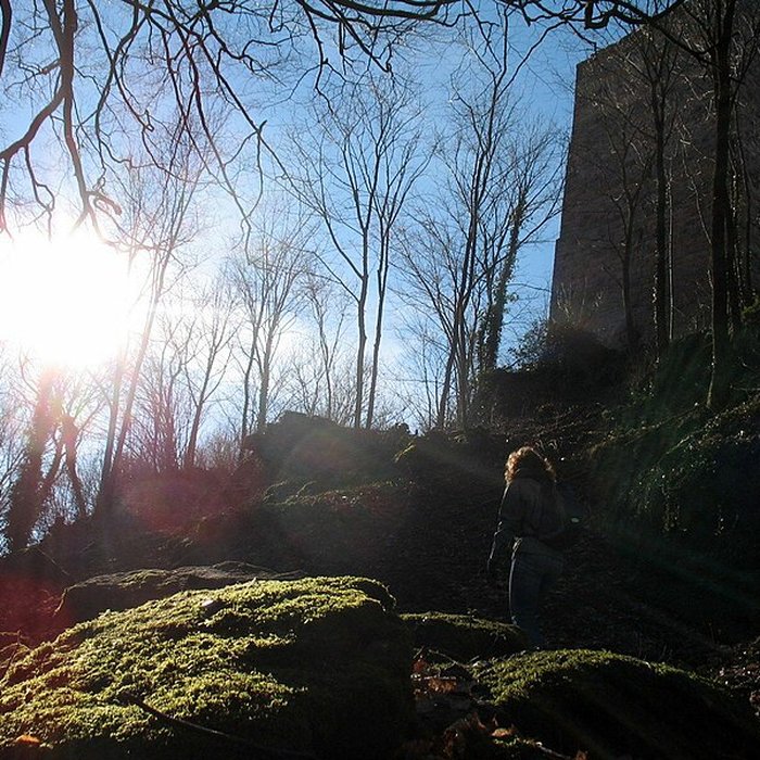 Photo de Ruines du château du Grand-Geroldseck