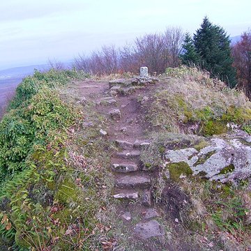 Ruines du château Ringelsboug