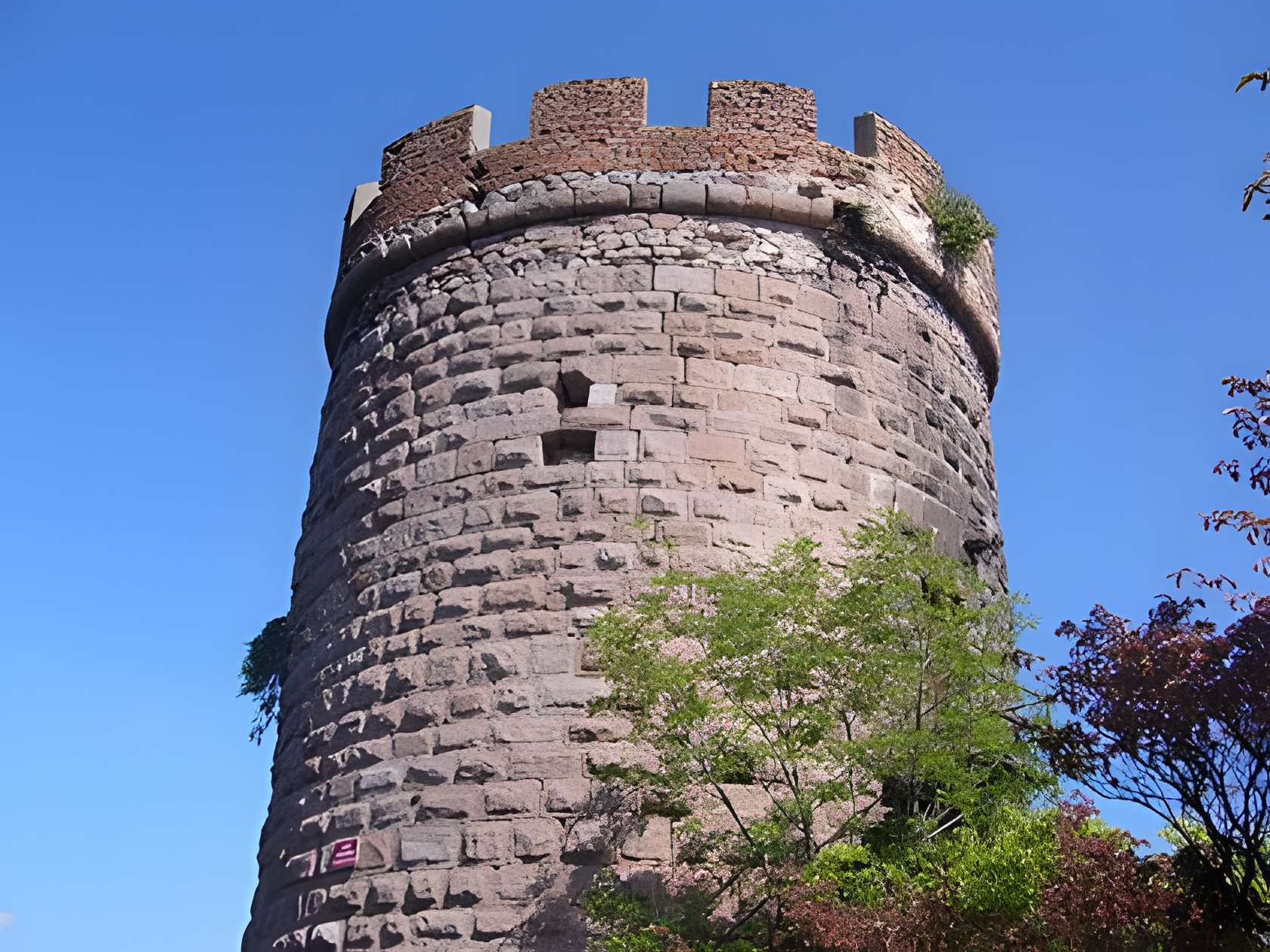 Château du Haut-Ribeaupierre 