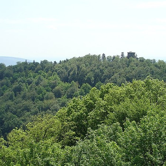 Photo de Château du Hohenbourg