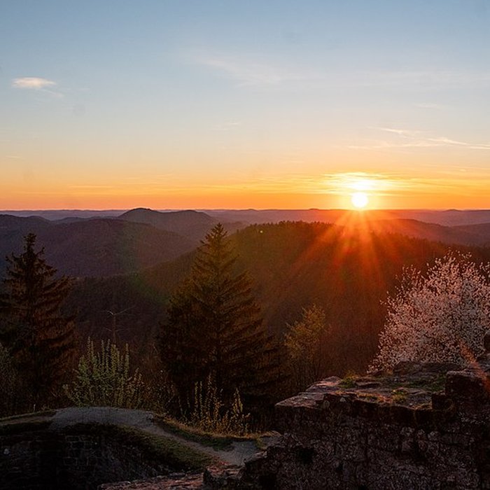 Photo de Château du Hohenbourg