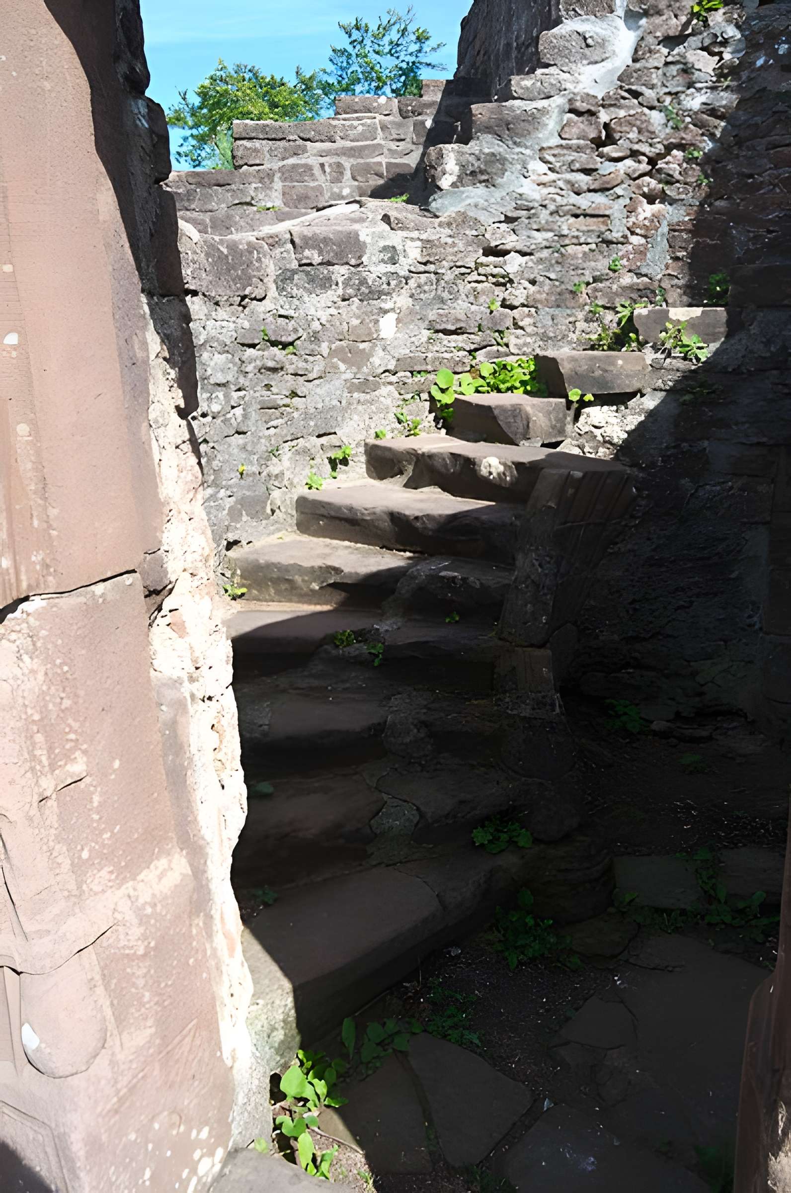 Château du Hohenbourg