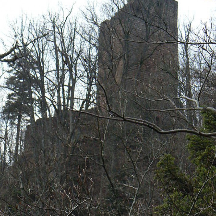 Photo de Ruines du château du Nideck