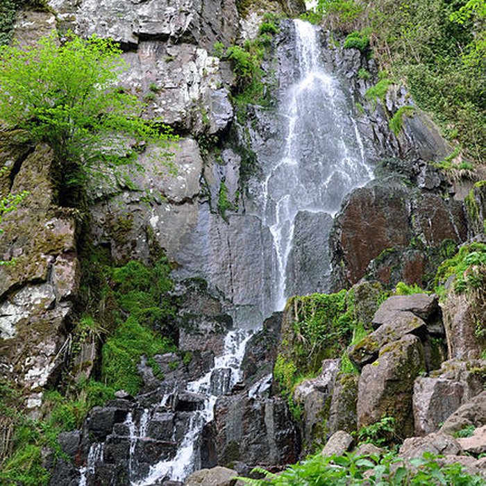Photo de Ruines du château du Nideck