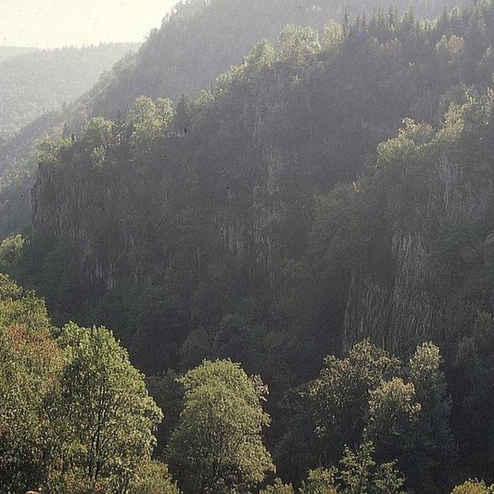 Photo de Ruines du château du Nideck