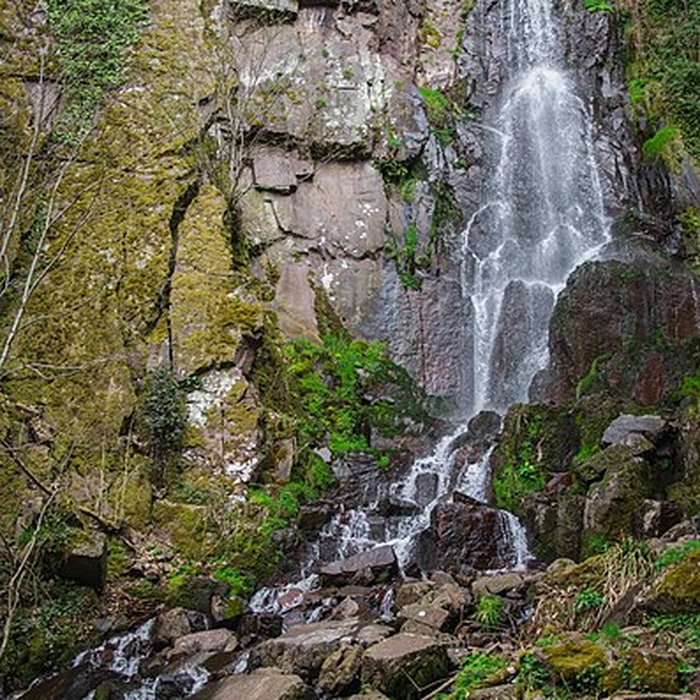 Photo de Ruines du château du Nideck