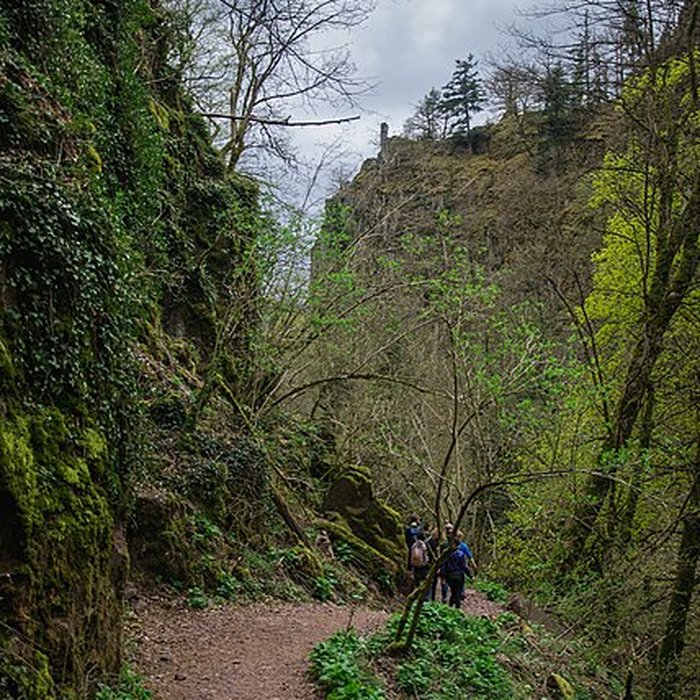 Photo de Ruines du château du Nideck