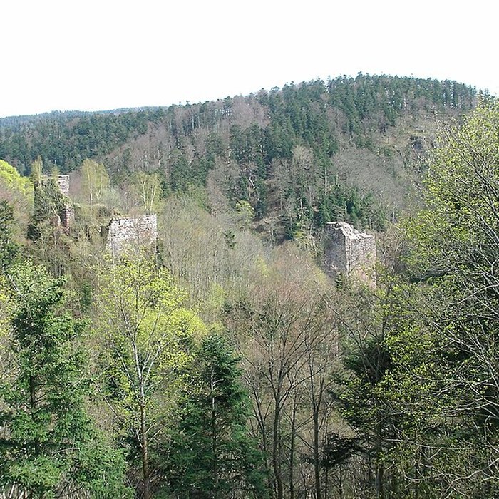 Photo de Ruines du château du Nideck