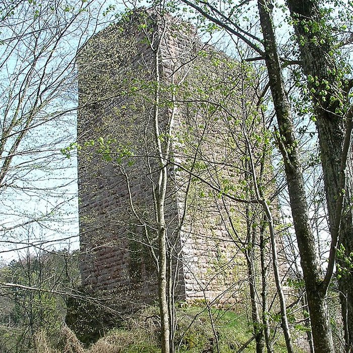 Photo de Ruines du château du Nideck