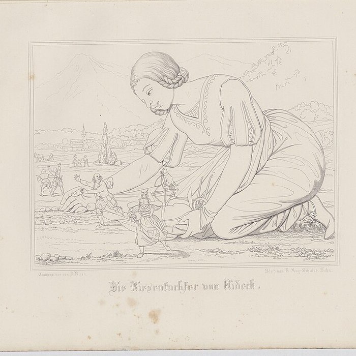 Photo de Ruines du château du Nideck