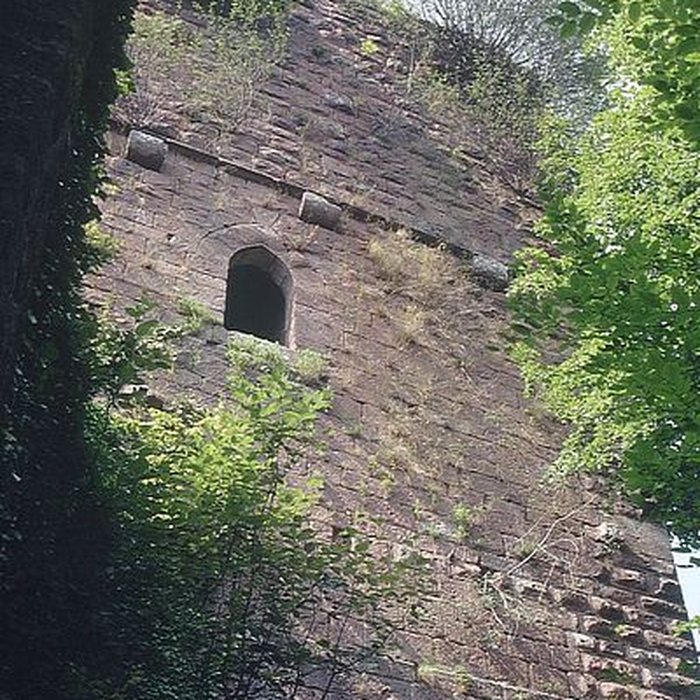 Photo de Ruines du château du Nideck