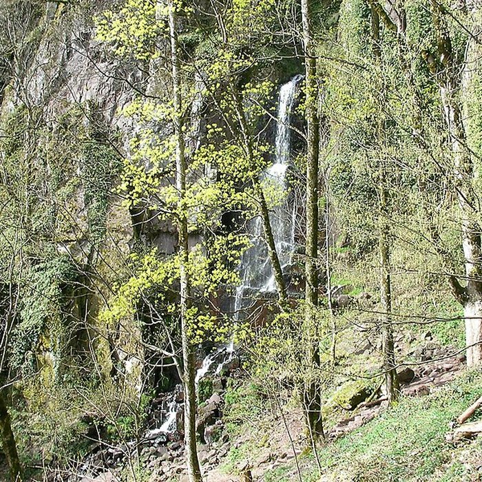 Photo de Ruines du château du Nideck