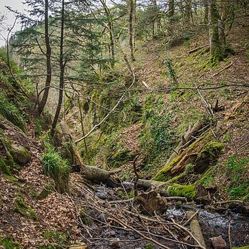 Ruines du château du Nideck
