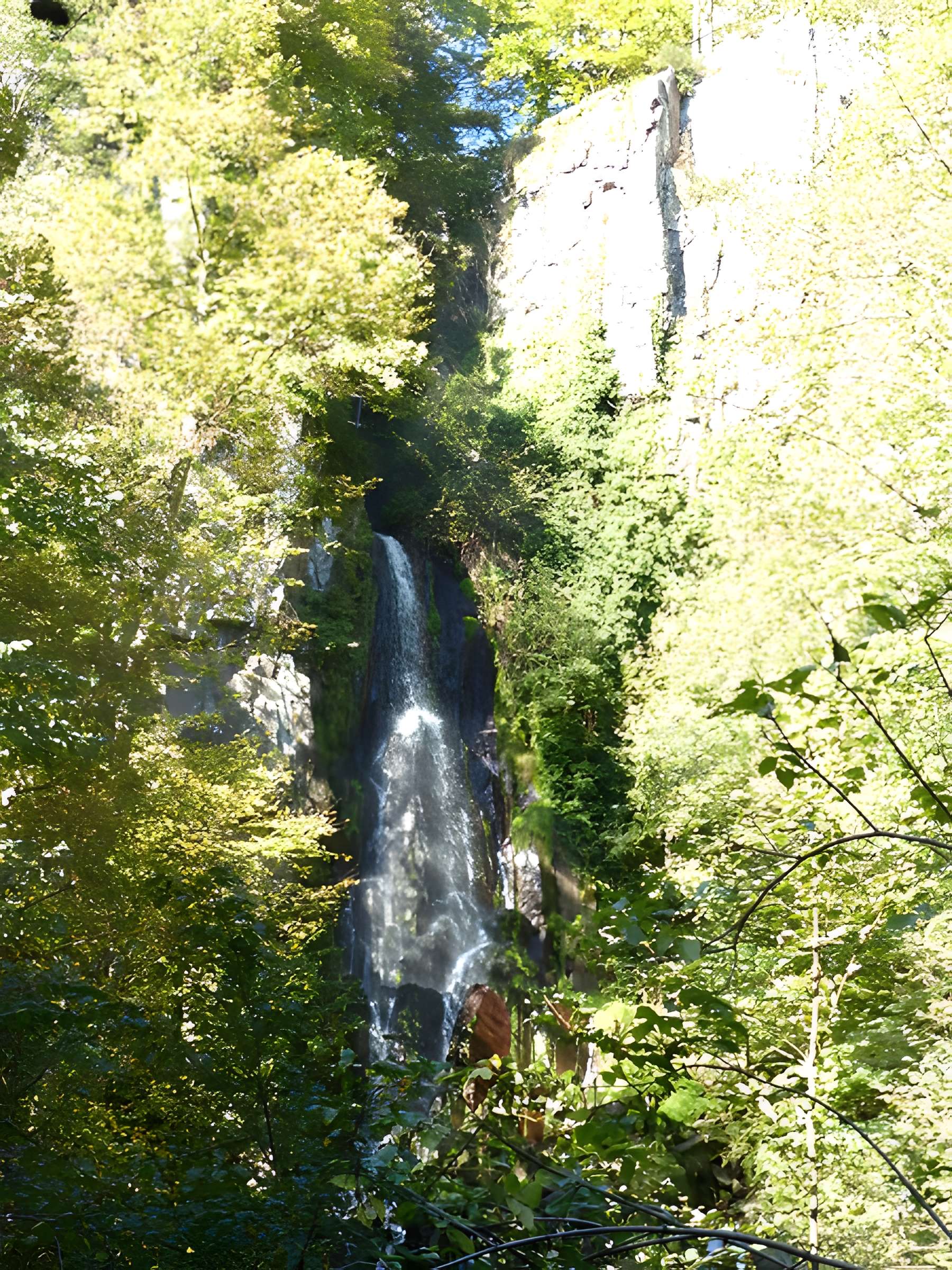 Ruines du château du Nideck