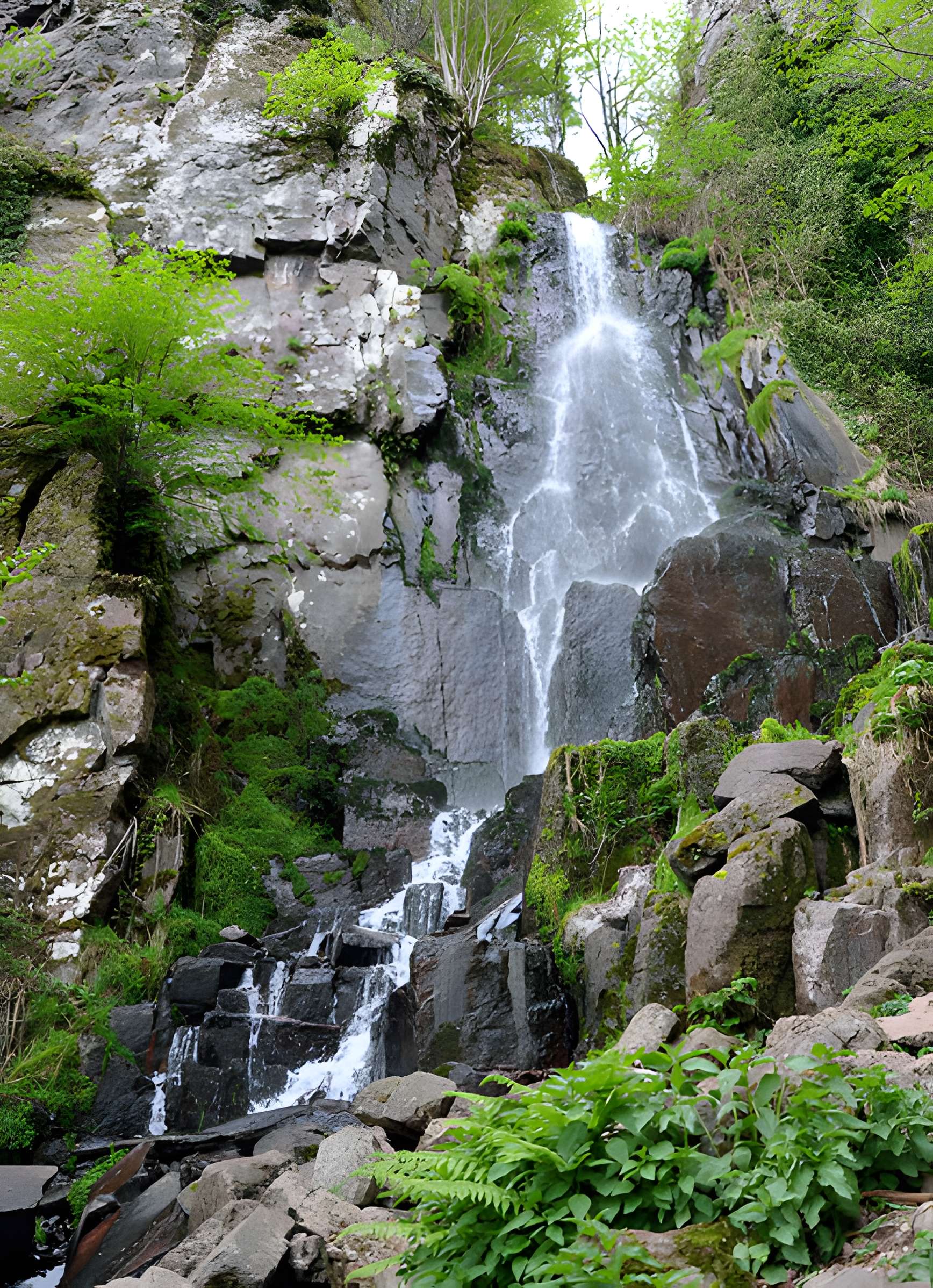 Ruines du château du Nideck
