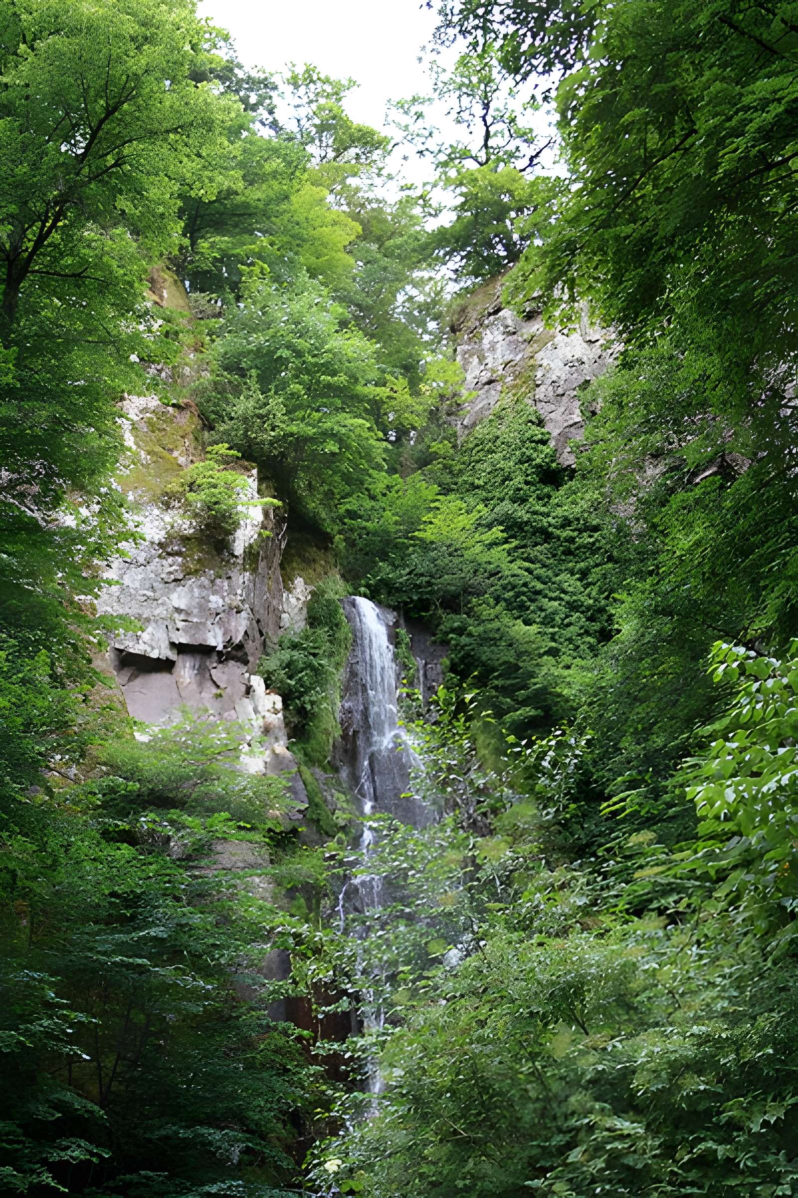 Ruines du château du Nideck