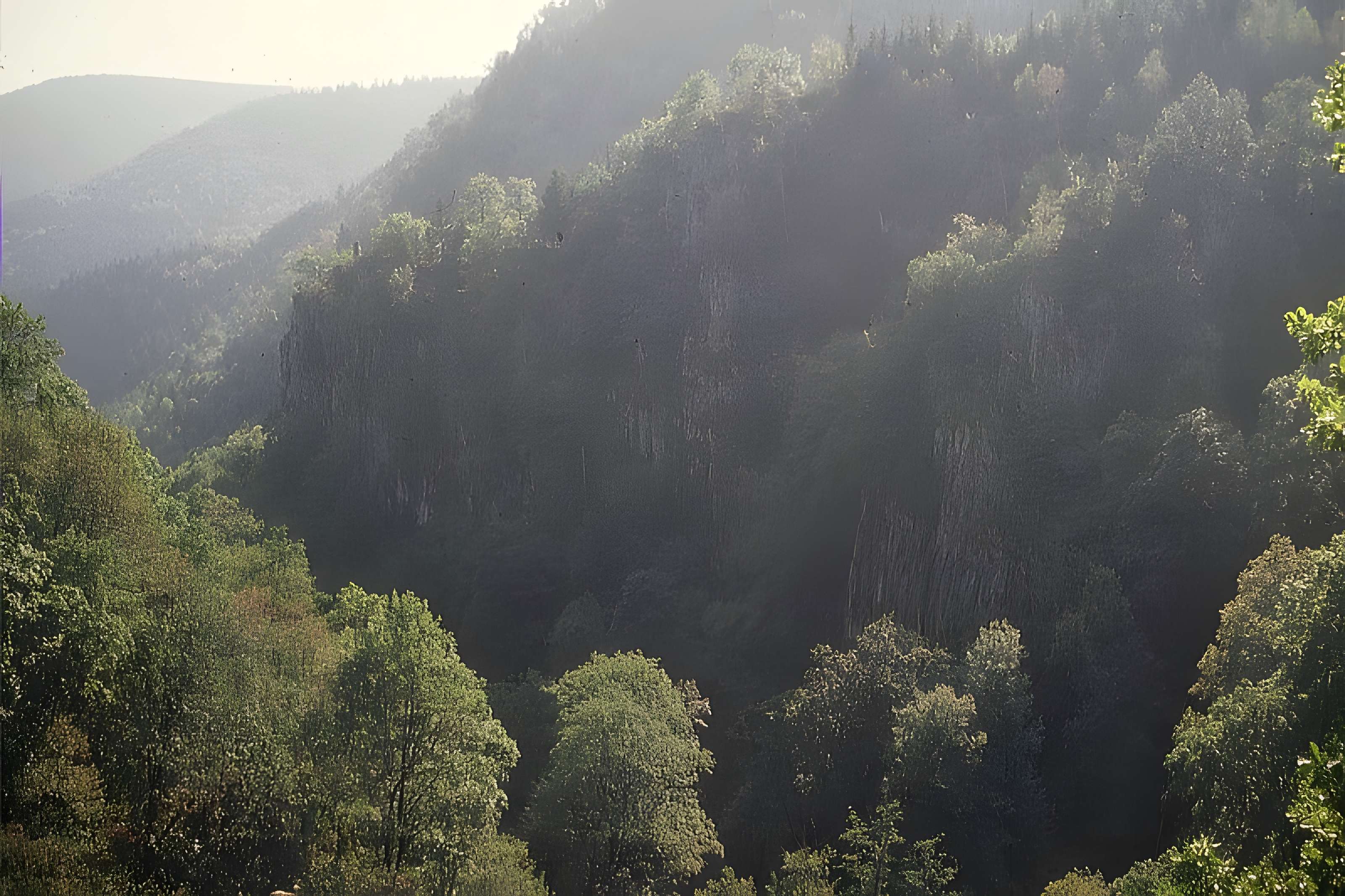 Ruines du château du Nideck