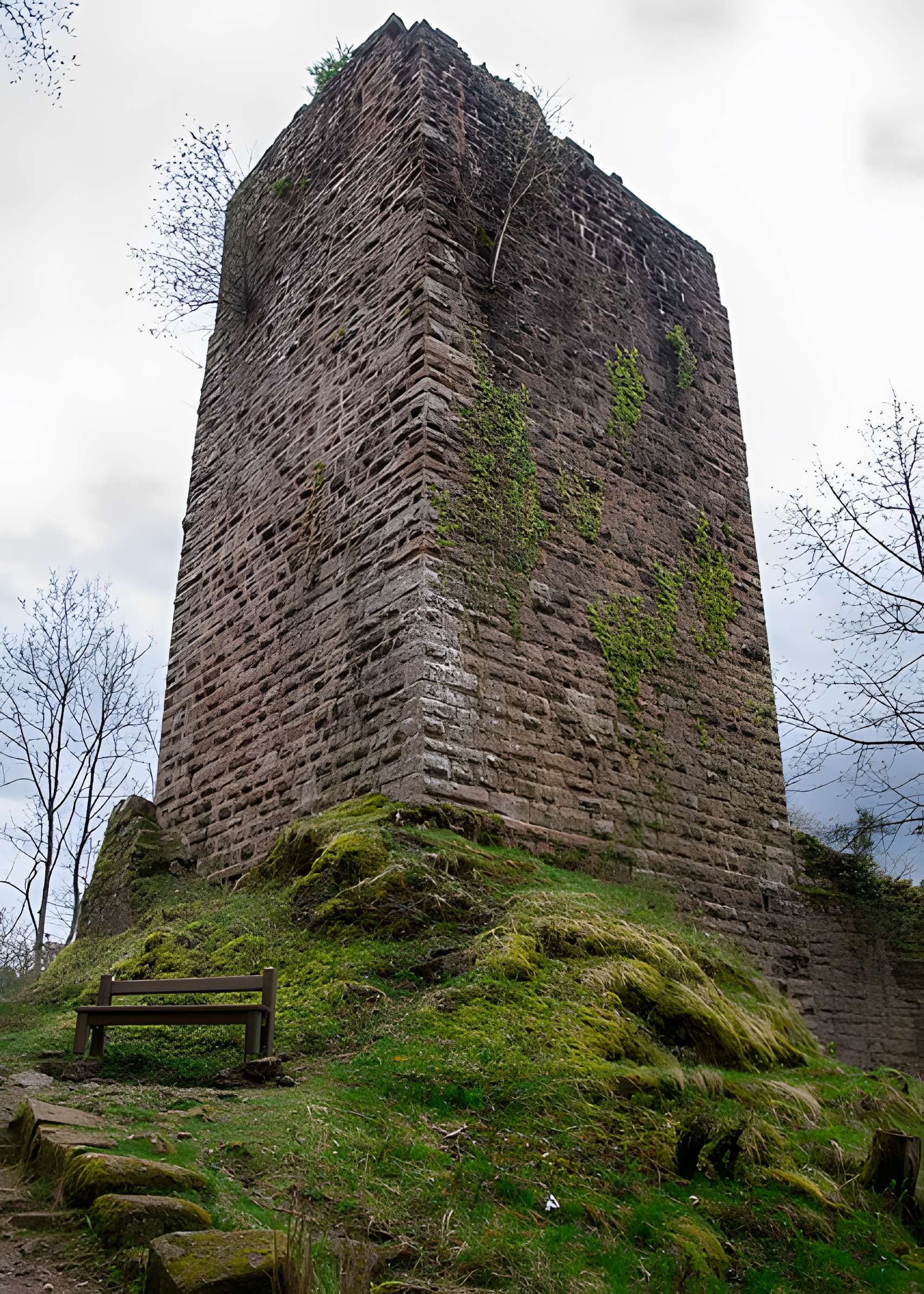 Ruines du château du Nideck