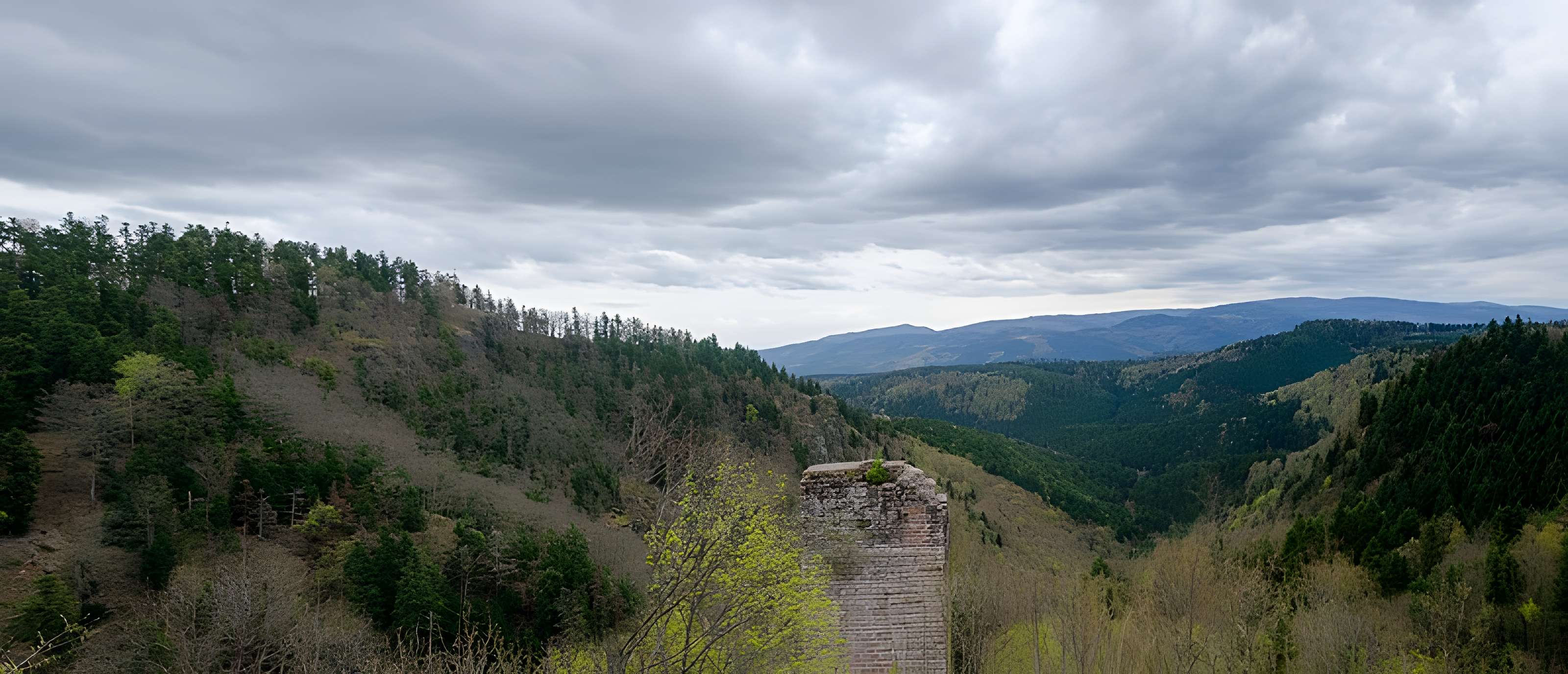 Ruines du château du Nideck