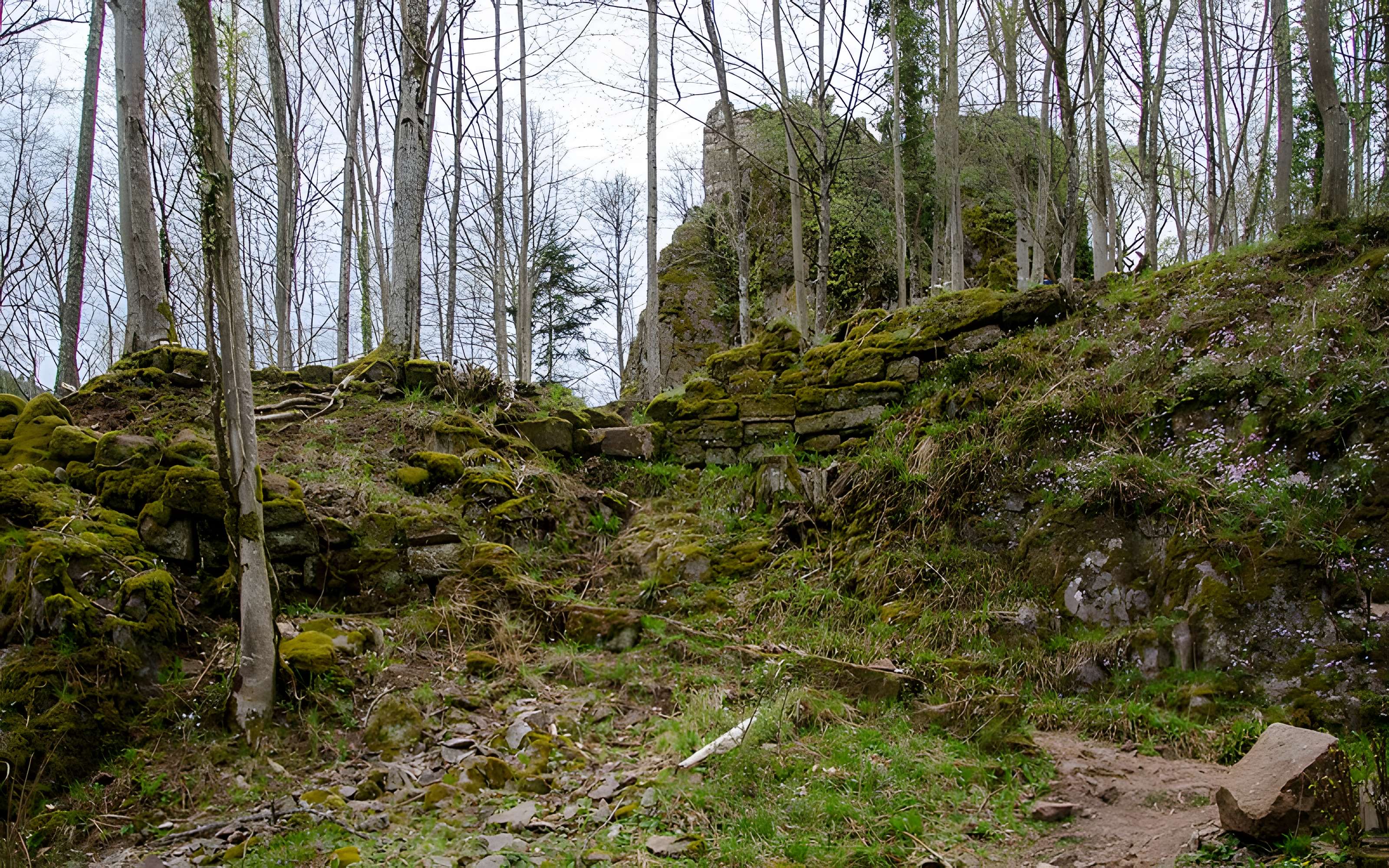 Ruines du château du Nideck