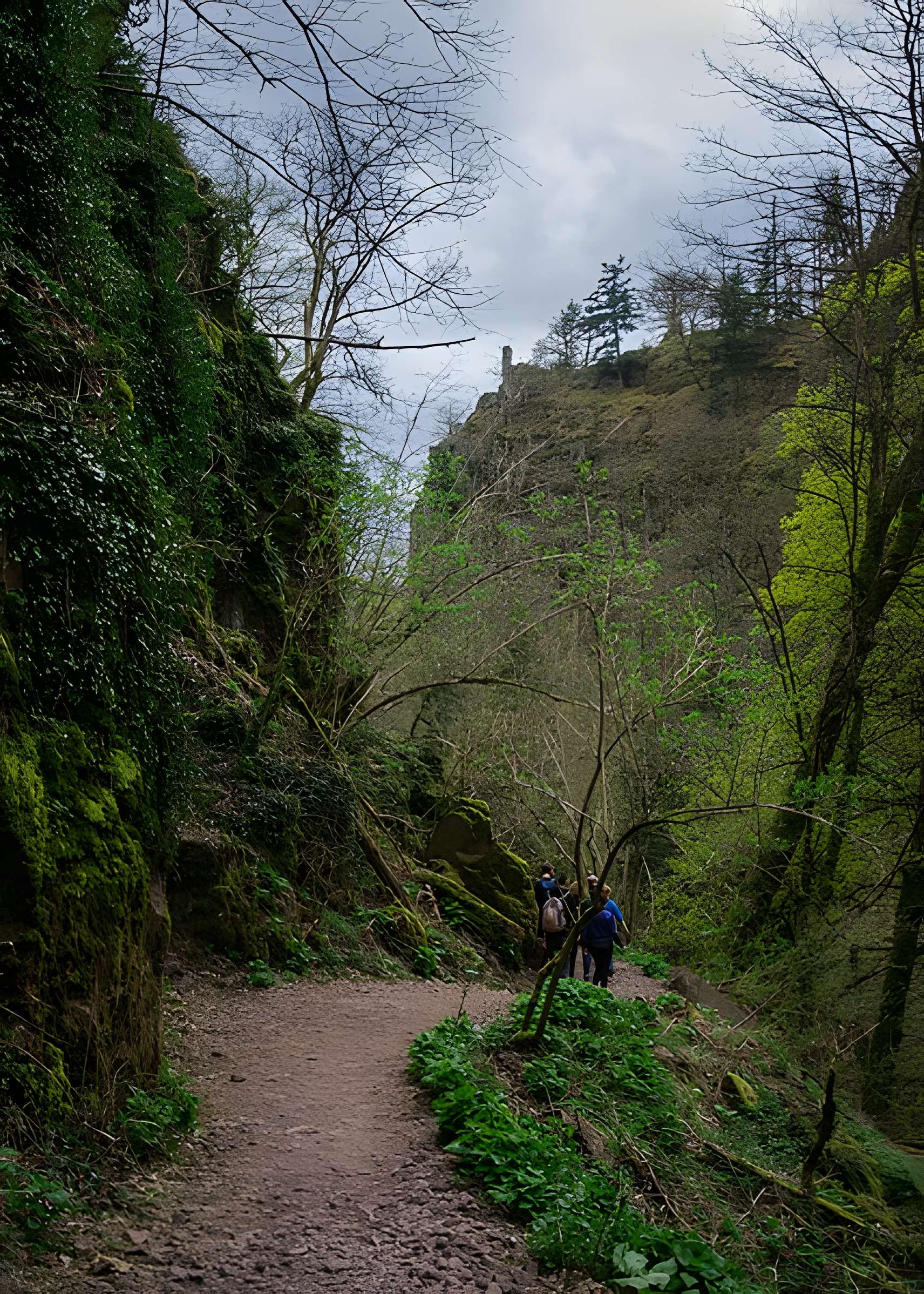 Ruines du château du Nideck