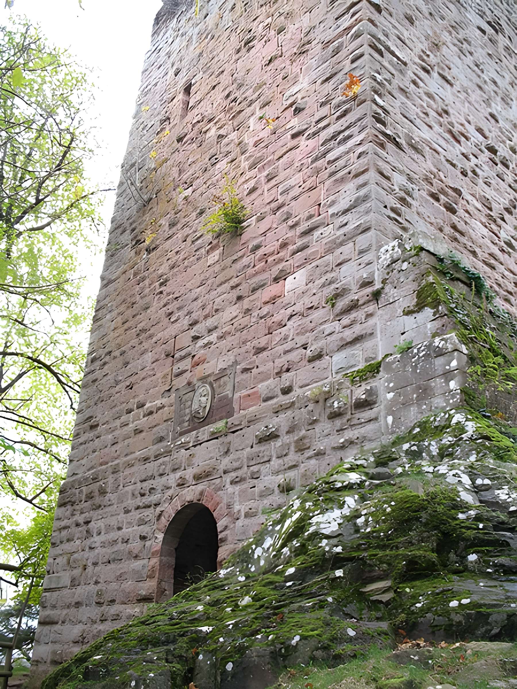 Ruines du château du Nideck