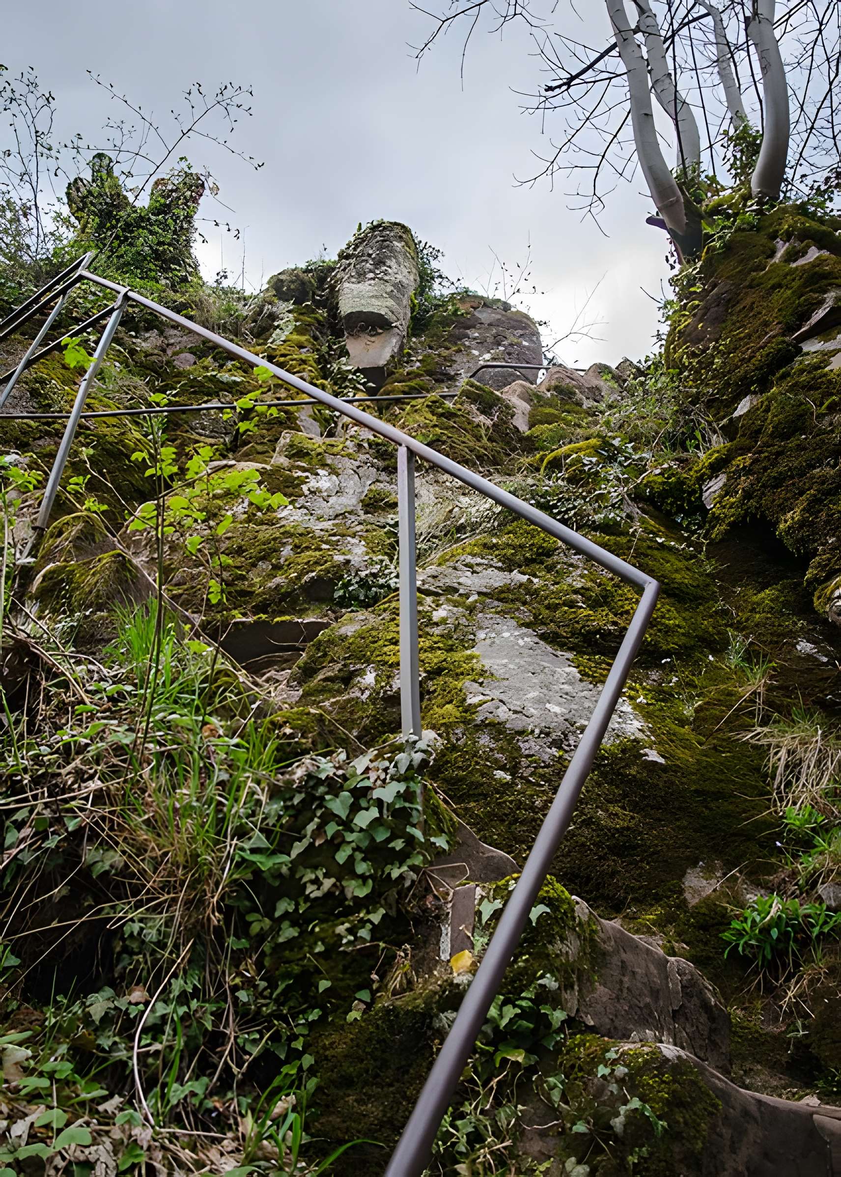 Ruines du château du Nideck
