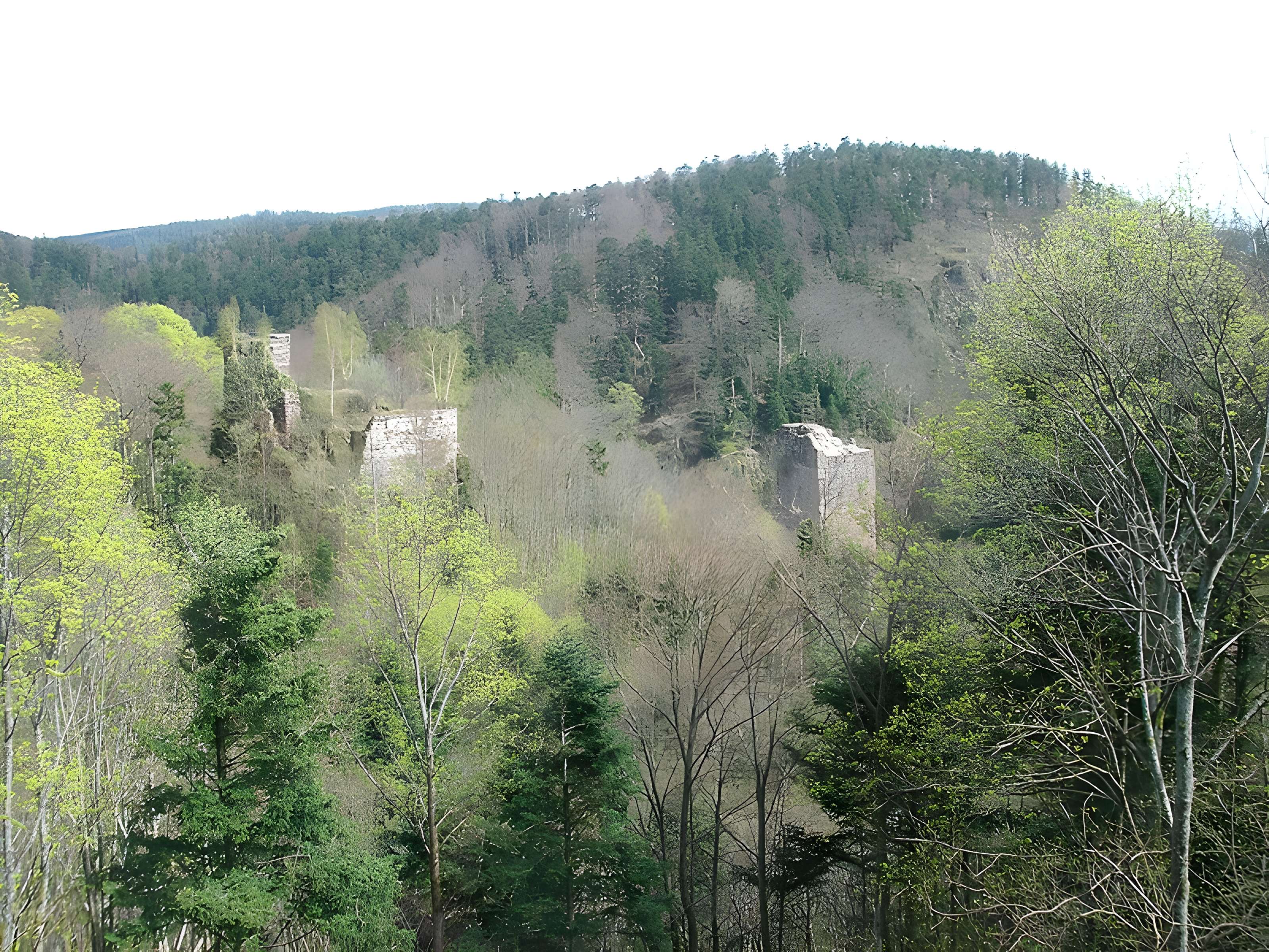 Ruines du château du Nideck