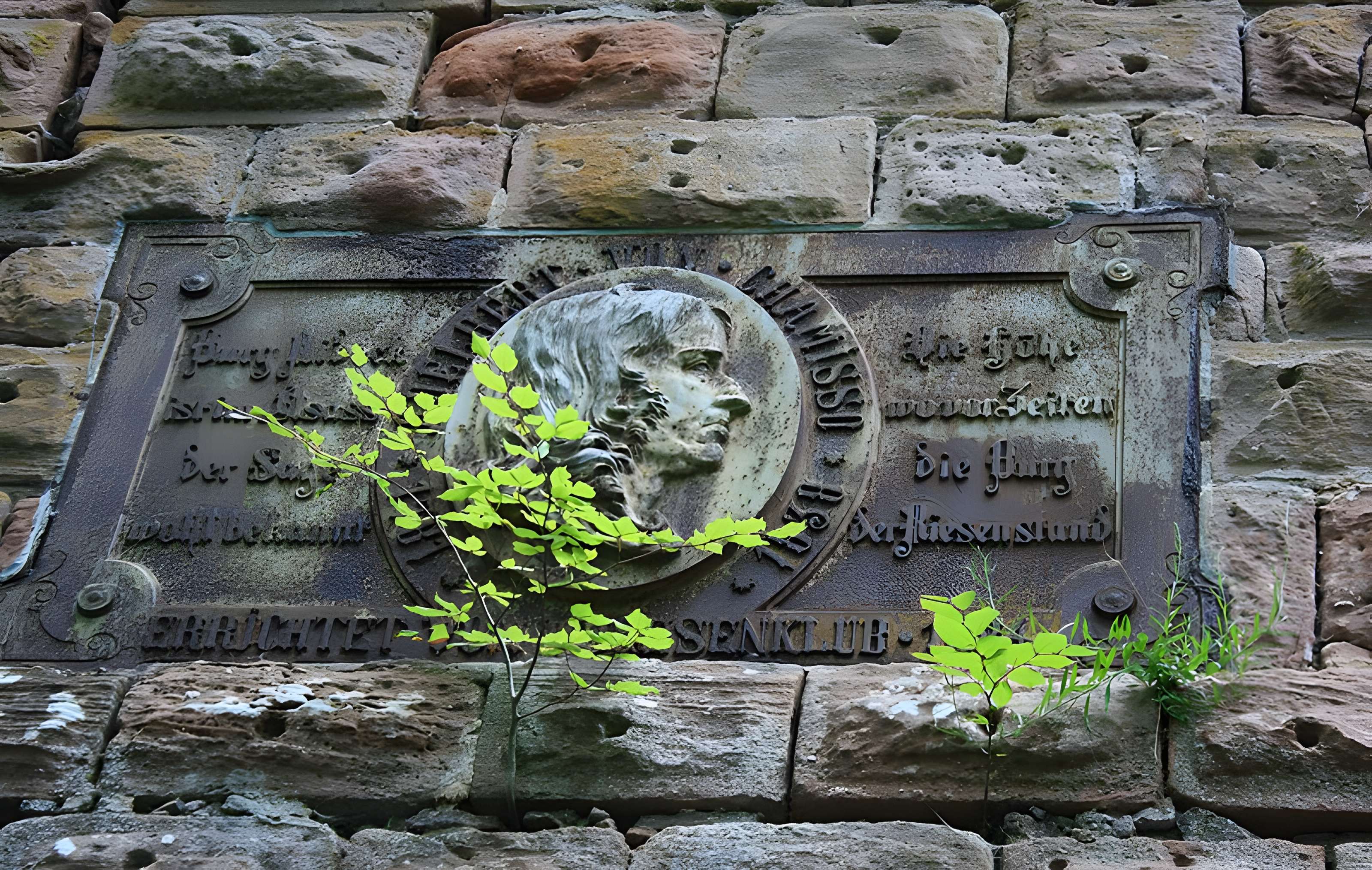 Ruines du château du Nideck