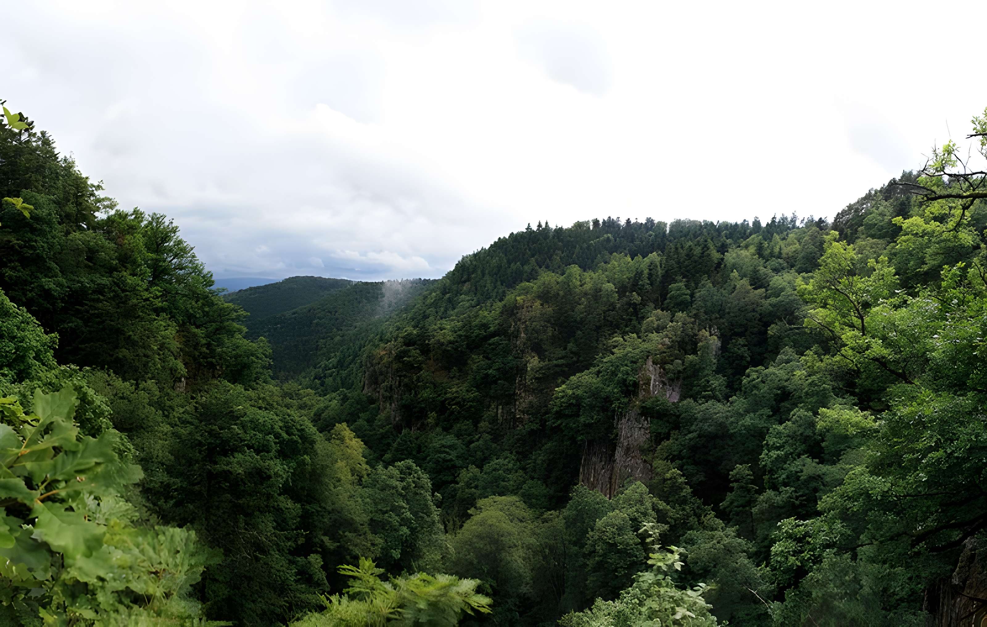 Ruines du château du Nideck