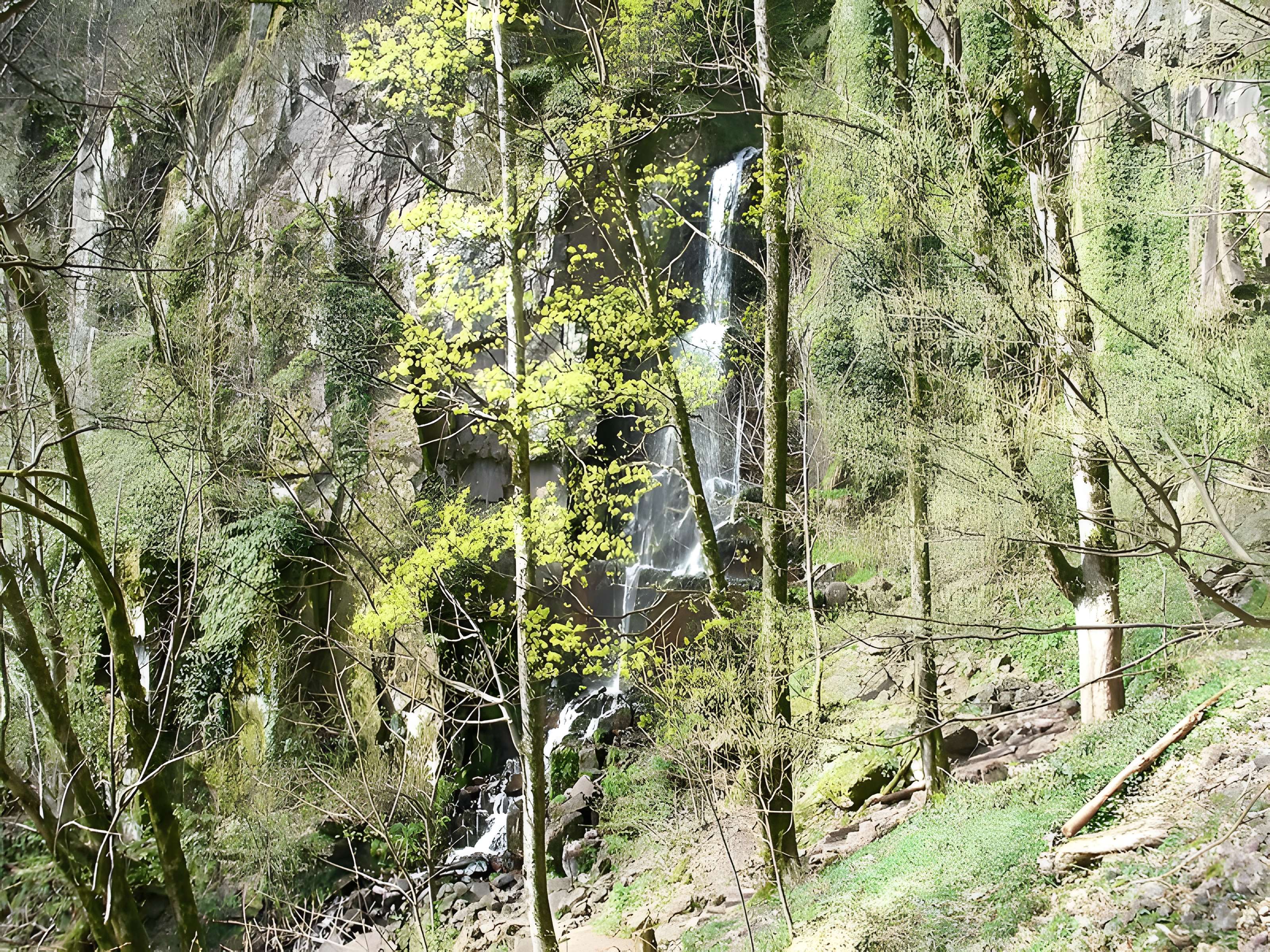 Ruines du château du Nideck